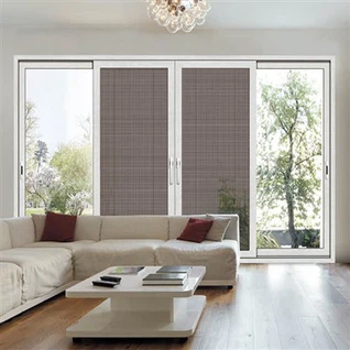 דלת כניסה מאלומיניום עם זכוכית